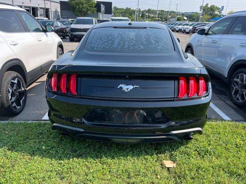 2019 Ford Mustang EcoBoost