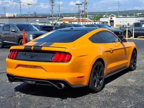 2019 Ford Mustang EcoBoost