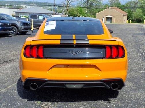 2019 Ford Mustang EcoBoost