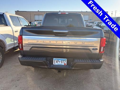 2020 Ford F-150 Platinum