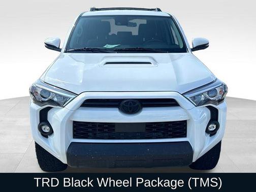 Ice Cap 2024 Toyota 4Runner TRD Off Road Premium