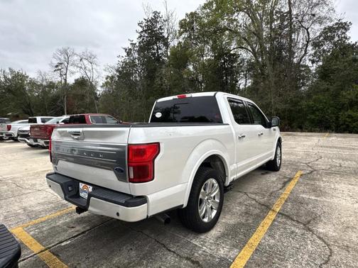 2019 Ford F-150 Platinum