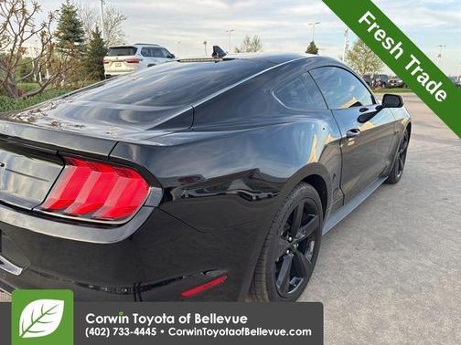 Shadow Black 2021 Ford Mustang GT