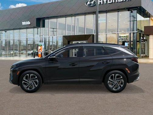 Green / Gray 2026 Hyundai TUCSON Plug-In Hybrid Limited