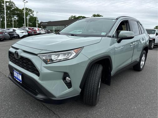Lunar Rock 2019 Toyota RAV4 XLE