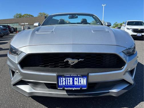 Ingot Silver Metallic 2019 Ford Mustang EcoBoost Premium