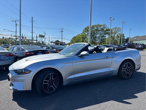Ingot Silver Metallic 2019 Ford Mustang EcoBoost Premium