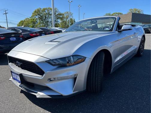 Ingot Silver Metallic 2019 Ford Mustang EcoBoost Premium