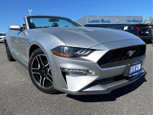 Ingot Silver Metallic 2019 Ford Mustang EcoBoost Premium