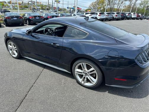 Antimatter Blue Metallic 2021 Ford Mustang EcoBoost Premium