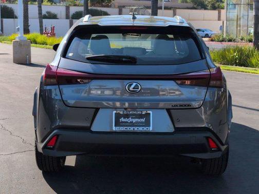 Cloudburst Gray 2026 Lexus UX 300h Premium