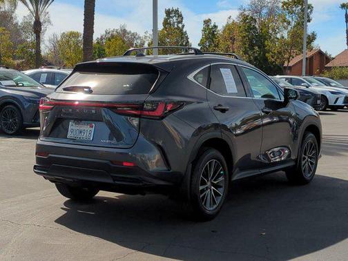2025 Lexus NX 250 Base