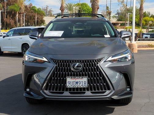2025 Lexus NX 250 Base