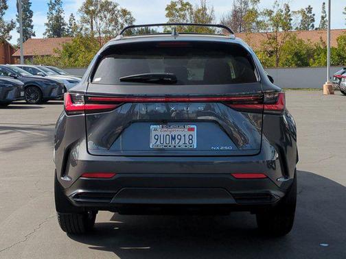 2025 Lexus NX 250 Base