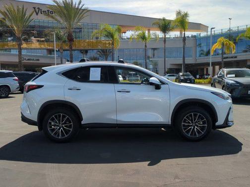 2025 Lexus NX 350h Premium