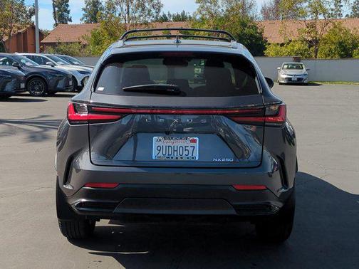 2025 Lexus NX 250 Base