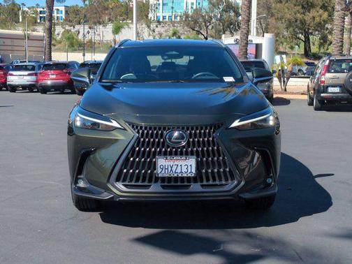 Green Pearl 2024 Lexus NX 250 Base