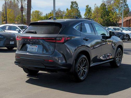 2025 Lexus NX 250 Base