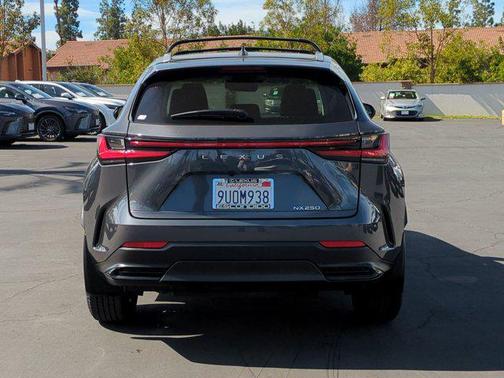 2025 Lexus NX 250 Base