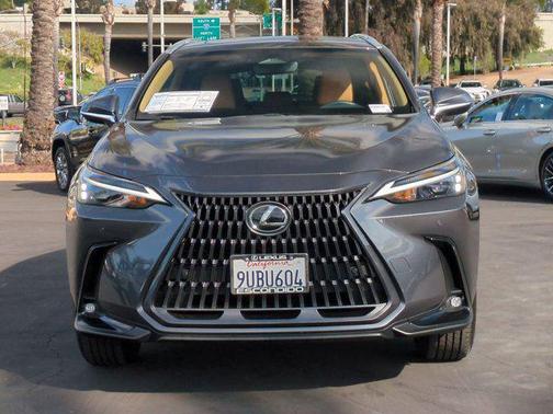 2025 Lexus NX 250 Base