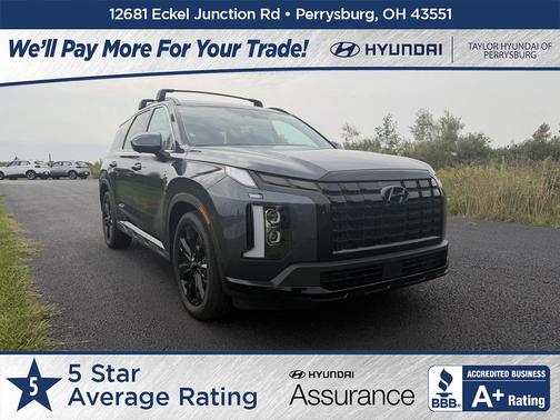Steel Graphite 2025 Hyundai PALISADE XRT