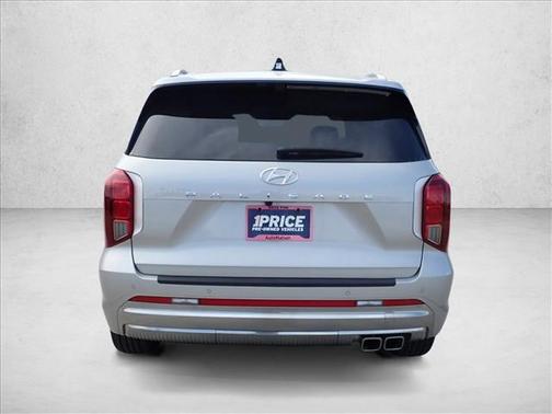 Typhoon Silver 2025 Hyundai PALISADE Calligraphy