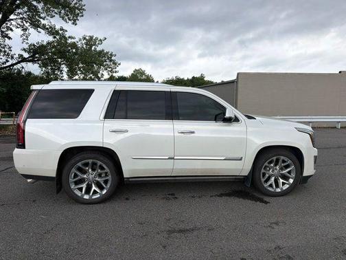 Crystal White Tricoat 2019 Cadillac Escalade Platinum