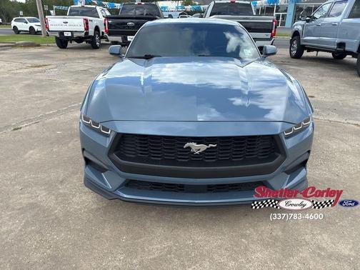 Vapor Blue Metallic 2024 Ford Mustang EcoBoost Premium