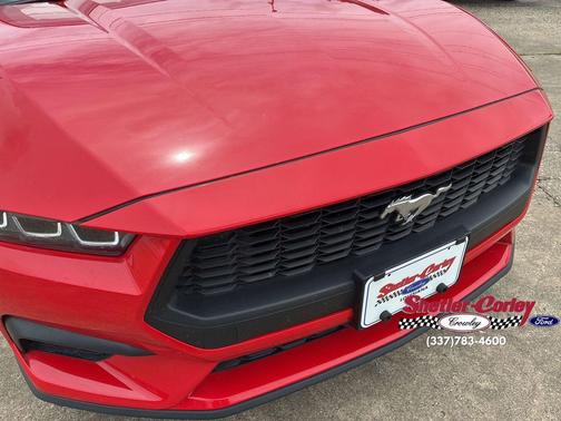 Race Red 2024 Ford Mustang EcoBoost Premium