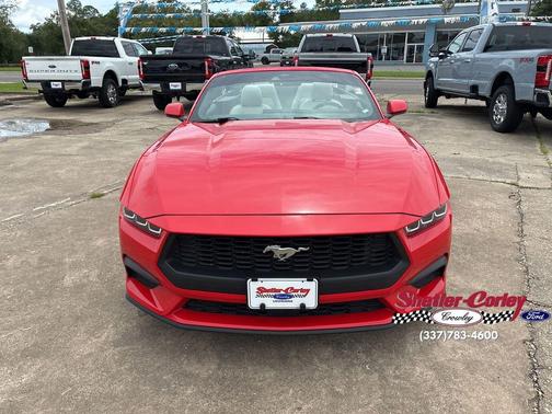 Race Red 2024 Ford Mustang EcoBoost Premium
