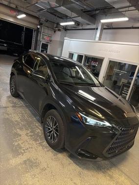 2025 Lexus NX 250 Premium
