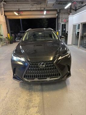 2025 Lexus NX 250 Premium