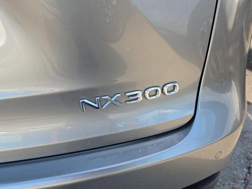 Nebula Gray Pearl 2018 Lexus NX 300 Base