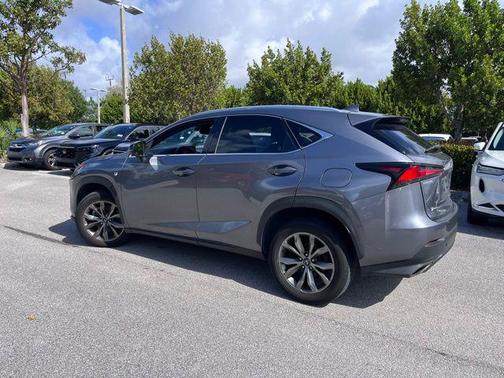 Nebula Gray Pearl 2020 Lexus NX 300 F Sport