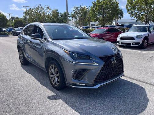 Nebula Gray Pearl 2020 Lexus NX 300 F Sport
