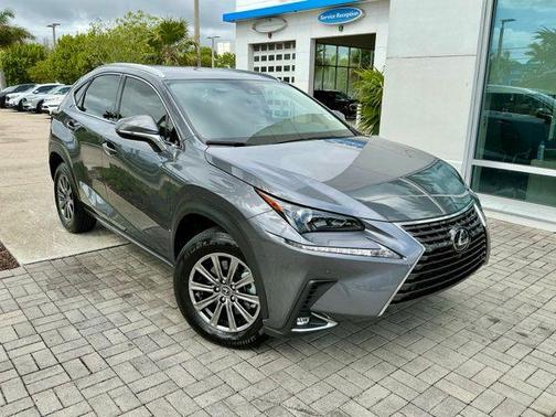 Nebula Gray Pearl 2020 Lexus NX 300 Base