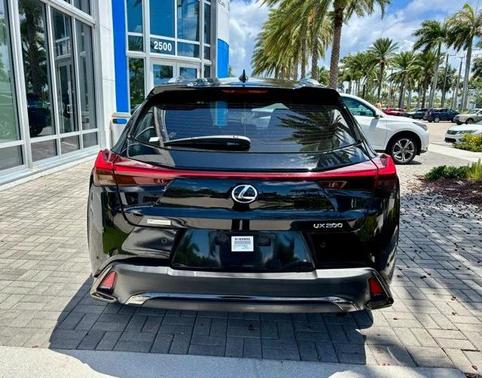 2019 Lexus UX 200 F Sport