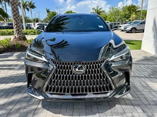 2024 Lexus NX 250 Premium