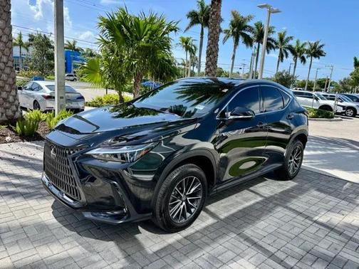 2024 Lexus NX 250 Premium