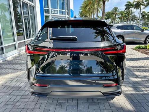 2024 Lexus NX 250 Premium
