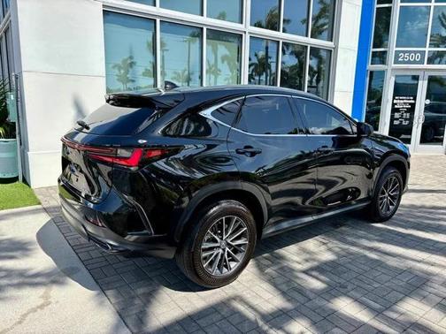 2024 Lexus NX 250 Premium
