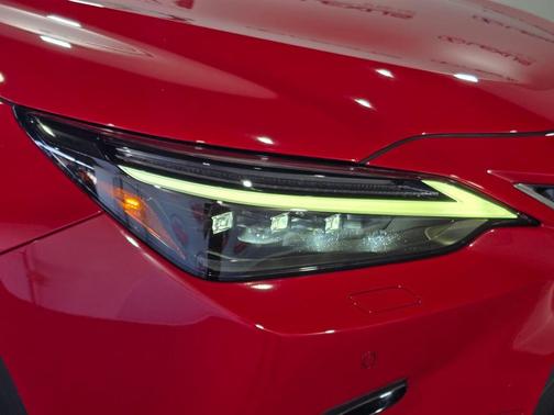 Red Line 2022 Lexus NX 350 Premium
