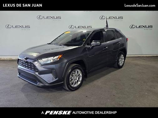 Magnetic Gray 2025 Toyota RAV4 LE