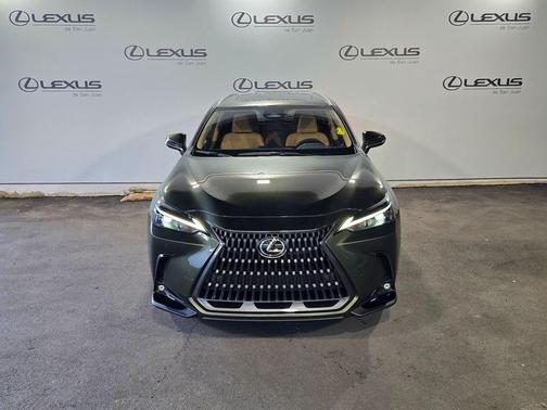 6X4 2026 Lexus NX 350h Base