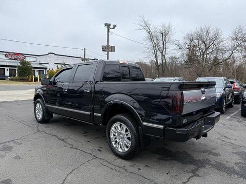 2014 Ford F-150 Platinum