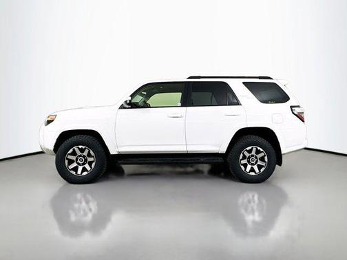Ice Cap 2024 Toyota 4Runner TRD Off Road