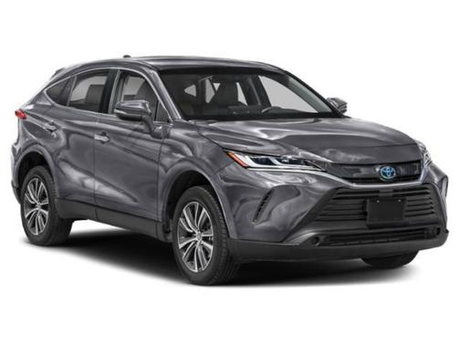 Titanium Glow 2024 Toyota Venza LE