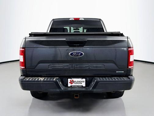 Magnetic 2019 Ford F-150 XLT