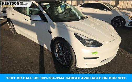 2023 Tesla Model 3 Standard Range