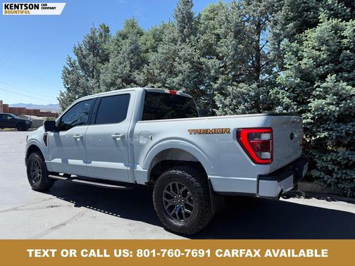 Avalanche 2023 Ford F-150 Tremor
